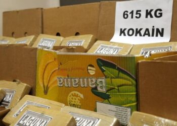 BM raporu: Türkiye’deki kokain yakalamaları yedi yılda yedi kat arttı