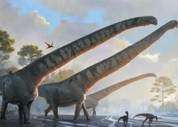 Zürafadan altı kat uzun: Boynu 15 metreye ulaşan dinazor tespit edildi