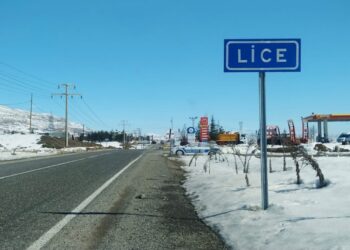 Lice’de çocuğa işkence soruşturmasında 3 polis tutuklandı