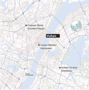 Koronavirüsün bir laboratuvardan sızdığı teorisi neden tartışılıyor?