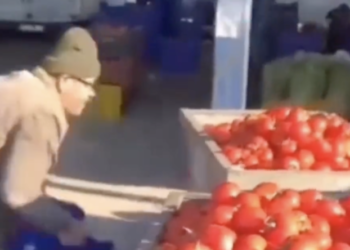 Çöpe dökülen domatesler için işlem başlatıldı