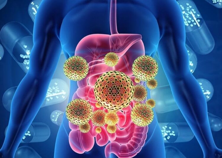 Cumhurbaşkanı Erdoğan'ın yakalandığı 'gastroenterit enfeksiyonu' nedir? 1 Cumhurbaşkanı Erdoğan’ın yakalandığı ‘gastroenterit enfeksiyonu’ nedir?