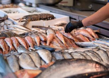 Balık av yasağı ne zaman başlıyor? Yasak 5 ay devam edecek