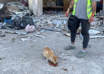 Ecevit, depremden 76 gün sonra sağ olarak bulundu