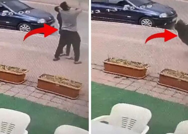 Elektrik teline takılan kuşu kurtarmak isterken akıma kapıldılar