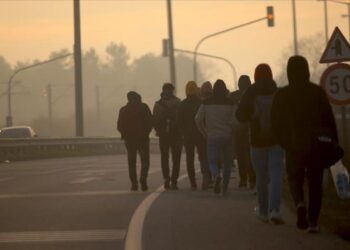 Uluslararası göç istatistikleri 2021 sonuçları açıklandı