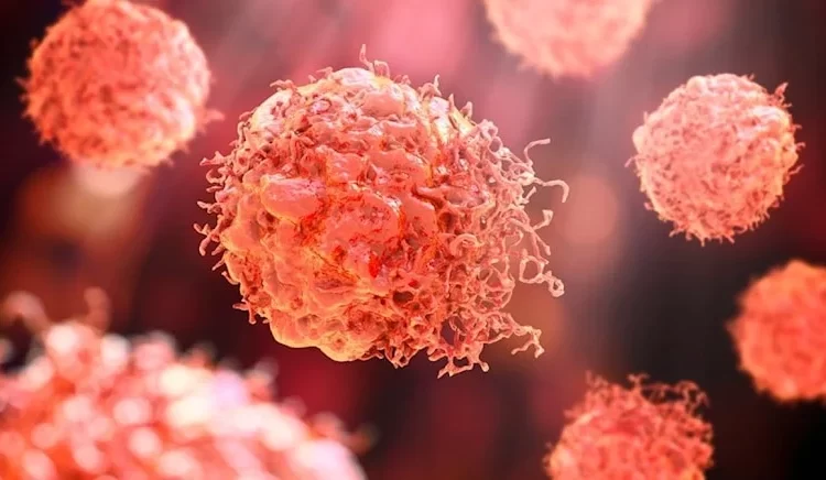 Kanserin yayılmasında etkili olan hücreler tespit edildi
