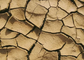 Avrupa’yı kurak bir yaz bekliyor: Akdeniz için özel uyarı