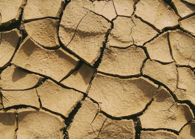Avrupa'yı kurak bir yaz bekliyor: Akdeniz için özel uyarı 1 Avrupa’yı kurak bir yaz bekliyor: Akdeniz için özel uyarı
