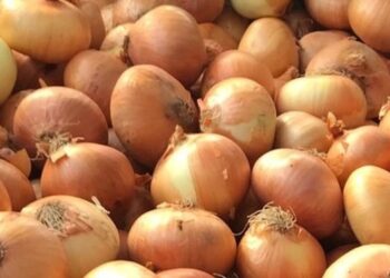 Soğanda kriz büyüyor: Yüzde 440 artış!