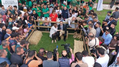 Erdoğan'a hediye edilen aslanların yavruları oldu 2 Erdoğan'a hediye edilen aslanların yavruları oldu