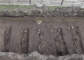 Polonya’da Nazi döneminden kalma toplu mezar bulundu