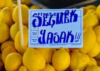 Üreticide 2,50 TL olan limon, markette 16,84 TL’ye satıldı
