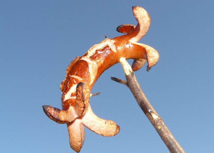 ABD, genetiği değiştirilmiş sosislere onay verdi 1 ABD, genetiği değiştirilmiş sosislere onay verdi