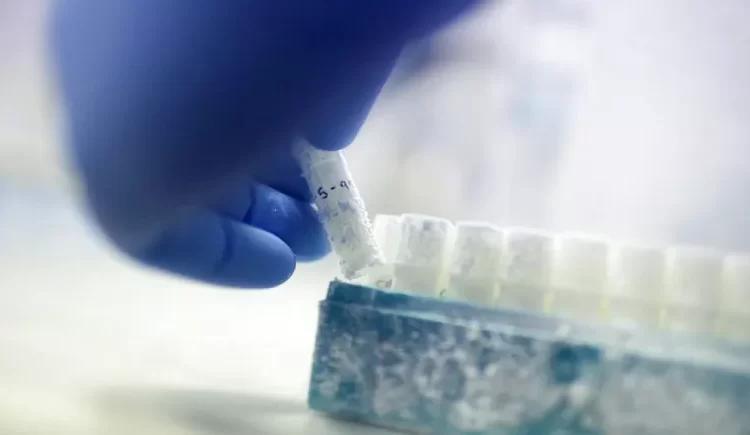 En az 550 çocuğun biyolojik babası olan adamın sperm bağışlaması yasaklandı