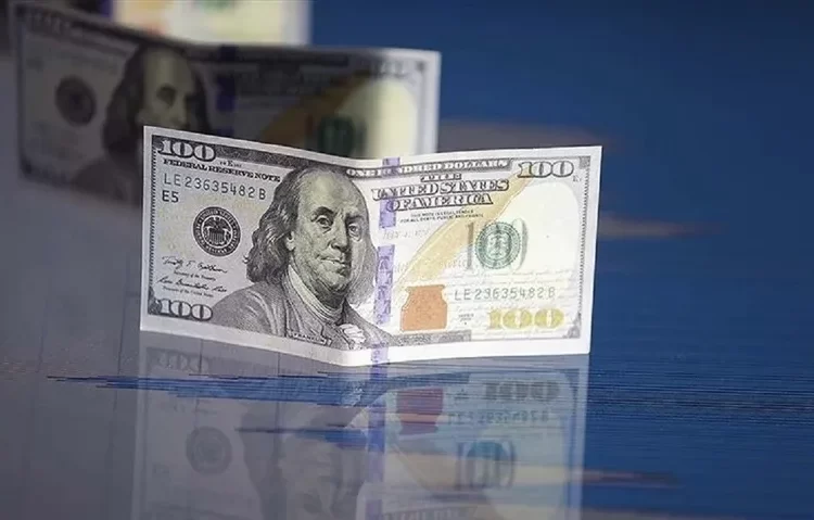 Dolar 26 TL’yi de geçerek rekor kırdı