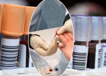 Test yaptırdı, kanı bilinen hiç bir gruba uymadı