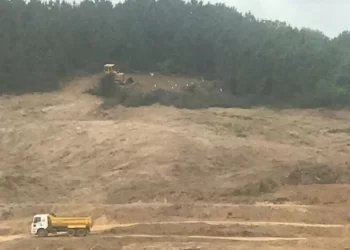 İstanbul’un son ormanları bir bir imara açılarak yok ediliyor