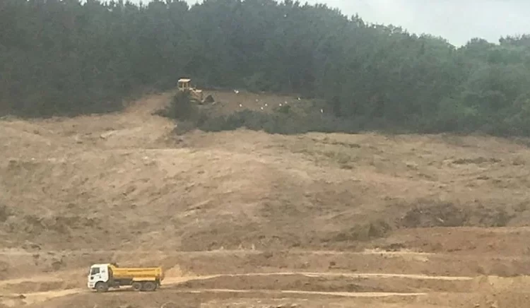 İstanbul’un son ormanları bir bir imara açılarak yok ediliyor