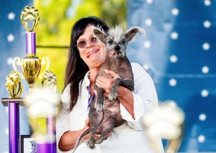 Dünyanın En Çirkin Köpeği belli oldu 1 Dünyanın En Çirkin Köpeği belli oldu