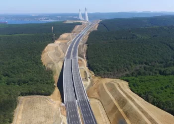 Mega projeler, İstanbul’un ekolojik sisteminde tahribat yaptı