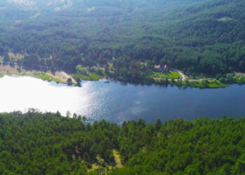 Ankara’da ormanlara giriş yasağı