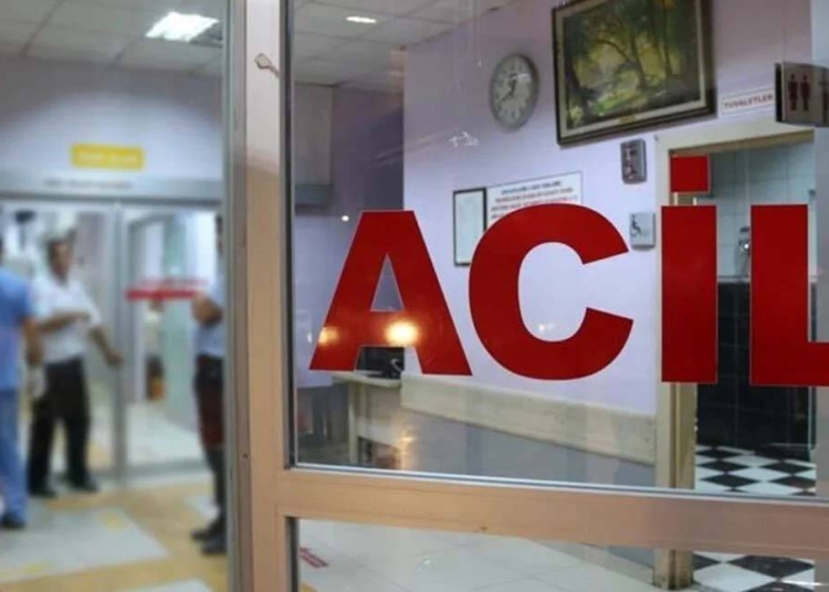 Trabzon'da bir kişi, arı sokması sonucu hayatını kaybetti 1 Trabzon’da bir kişi, arı sokması sonucu hayatını kaybetti