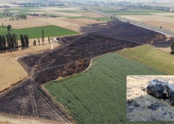 Atmaca elektrik teline takıldı, 60 dönüm ekili tarla yandı