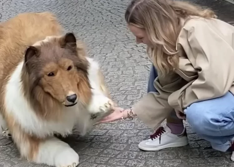 22 bin dolarlık köpek kostümü giydi, tasmayla sokaklarda gezdi