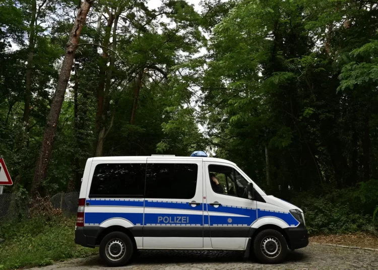 Berlin’deki aslan avı sona erdi: Aranan vahşi hayvan domuz çıktı