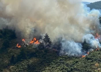 Balıkesir’de çıkan orman yangını kontrol altına alındı