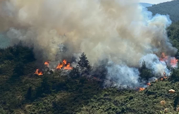 Balıkesir'de çıkan orman yangını kontrol altına alındı 1 Balıkesir’de çıkan orman yangını kontrol altına alındı