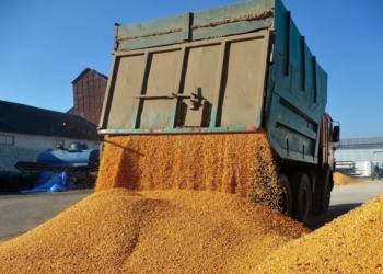 Tahıl Koridoru Anlaşması uzatılmazsa ne olur?