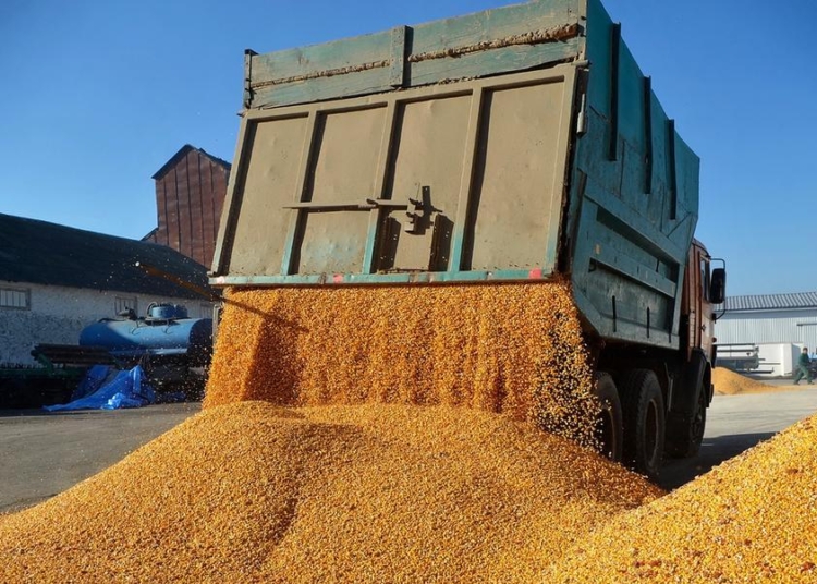 Tahıl Koridoru Anlaşması uzatılmazsa ne olur? 1 Tahıl Koridoru Anlaşması uzatılmazsa ne olur?