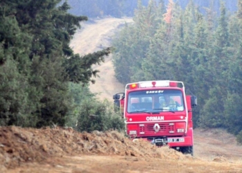 Tekirdağ’daki orman yangınına balya makinesinden çıkan kıvılcımın neden oldu