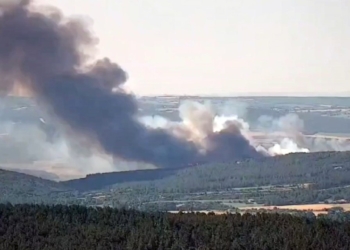 Tekirdağ’da orman yangını