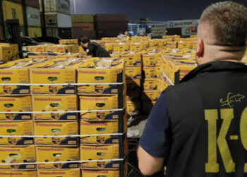 Mersin Limanı’nda yine kokain yakalandı