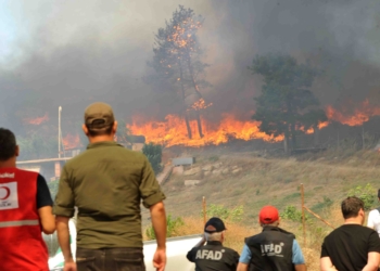 Üç ilde orman yangınları sürüyor