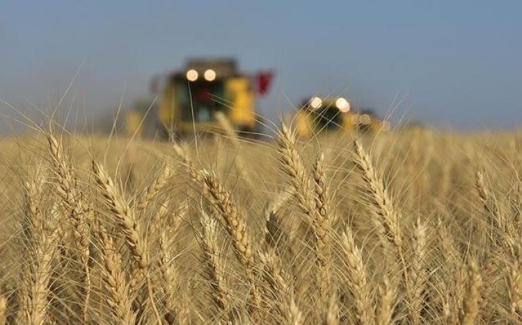 Rusya tahıl anlaşmasına dönmek için 7 şartını açıkladı 1 Rusya tahıl anlaşmasına dönmek için 7 şartını açıkladı