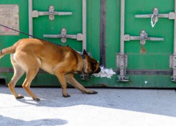 Hollanda tarihinin en büyük uyuşturucu operasyonu: 600 milyon euro değerinde kokain ele geçirildi