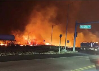 Hawaii’de çıkan orman yangınlarında ölü sayısı 89’a yükseldi