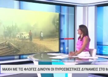 Yunan spikerden yanan göçmenlerle ilgili kan donduran ifadeler: Kömürleşmiş göçmenler dışında insanımızı kaybetmedik