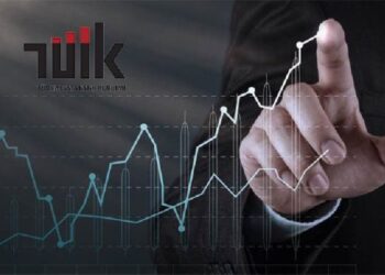 TÜİK: Türkiye ikinci çeyrekte yüzde 3,8 büyüdü