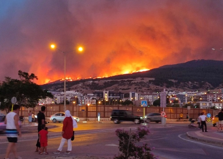 Çanakkale’deki orman yangını kontrol altına alındı