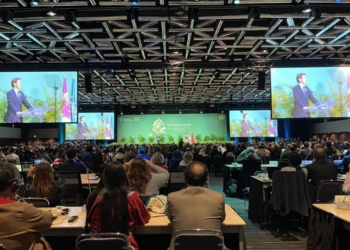 Türkiye, BM toplantısına ev sahipliği yapamayacağını bildirdi