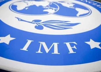 Şeref Oğuz: Ekonomi yönetiminin tek seçeneği IMF