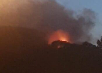 Maltepe’de orman yangını