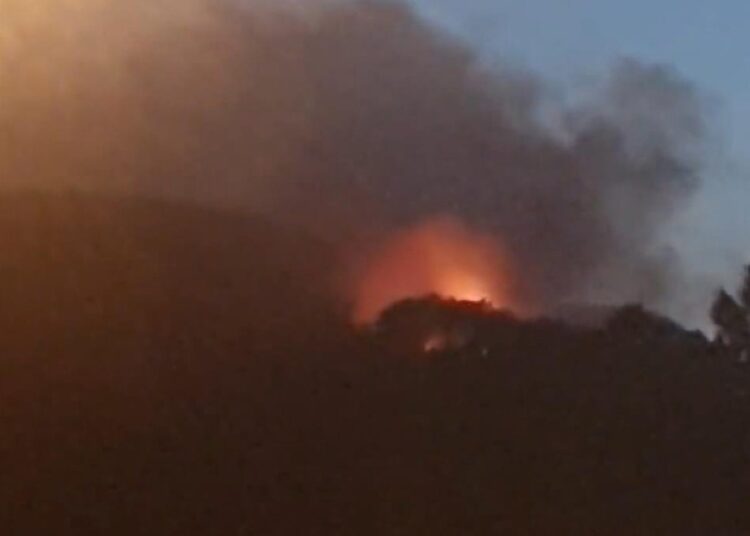 Maltepe’de orman yangını