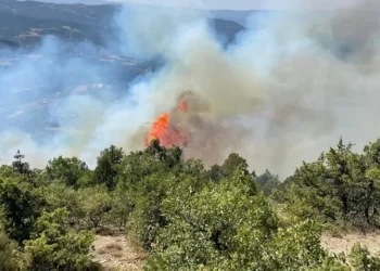 Üç kentte çıkan orman yangınlarına müdahale ediliyor