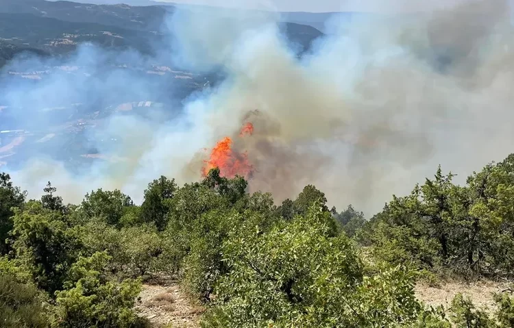 Üç kentte çıkan orman yangınlarına müdahale ediliyor